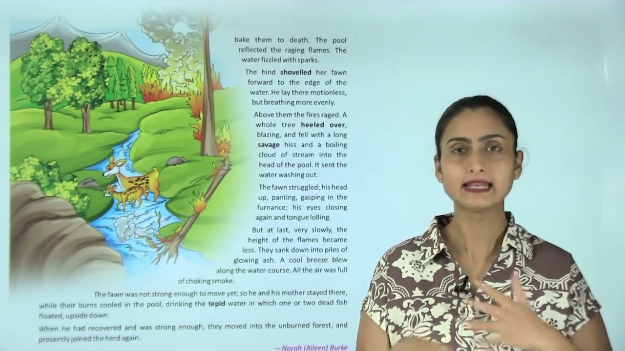 Ch 19 | Jophiel Books | English | Class 06 | Fire in the Forest | For children