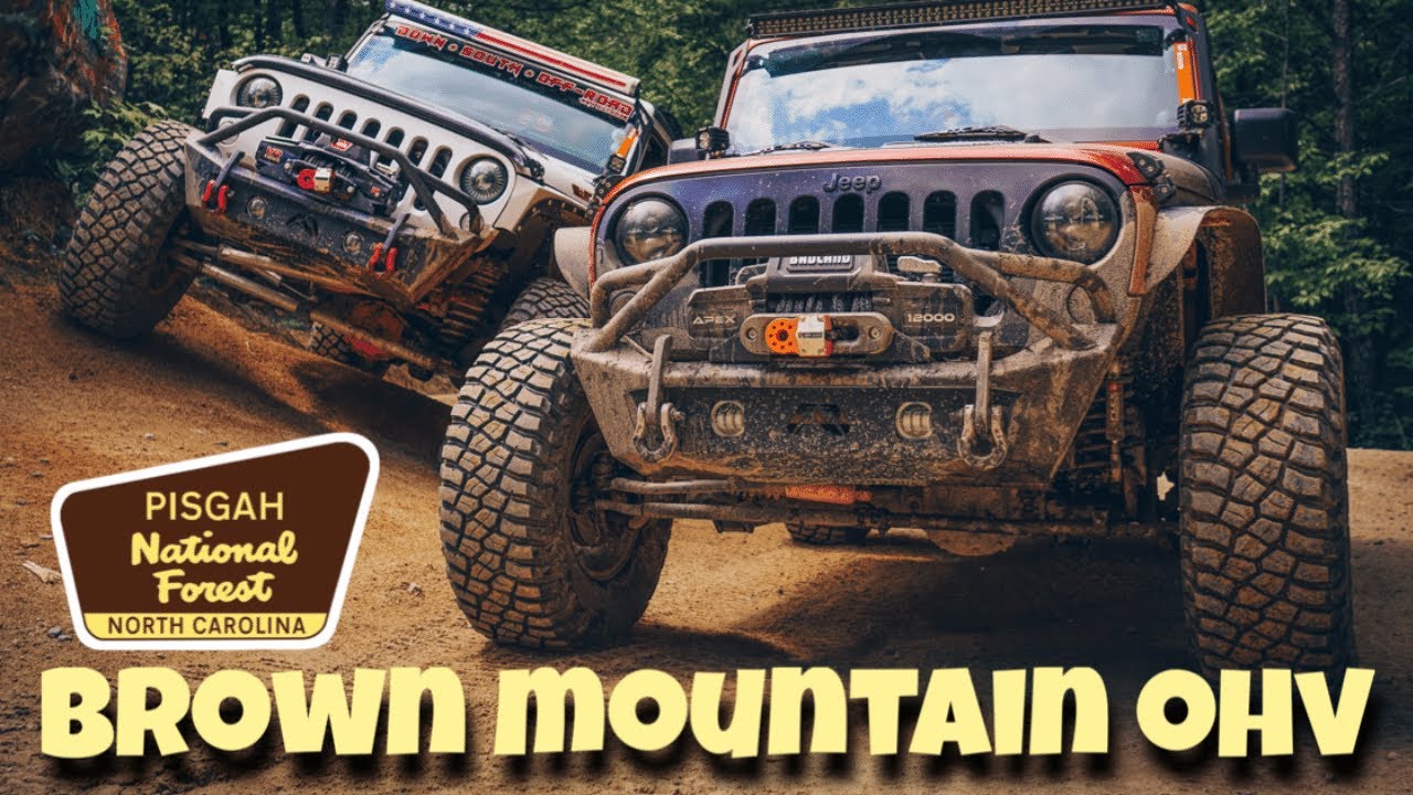 Новичок в бездорожье? Система трасс Brown Mountain OHV — ИДЕАЛЬНОЕ место для начала!