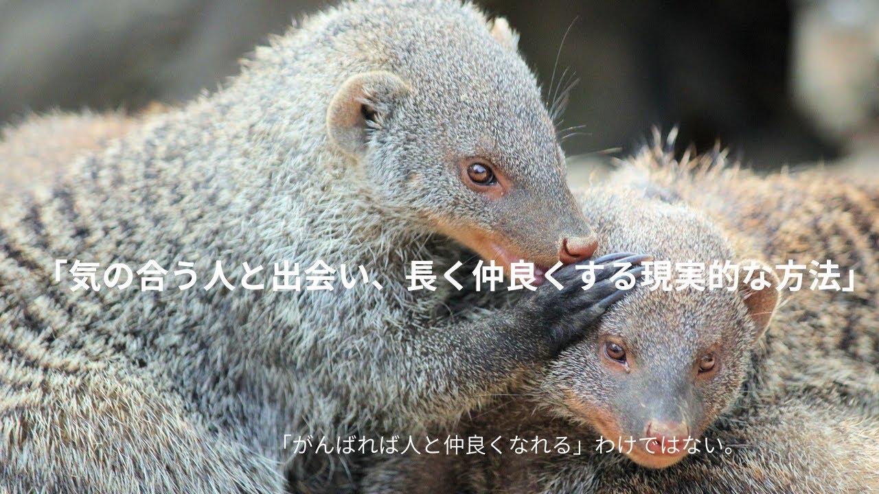 「気の合う人と出会い、長く仲良くする現実的な方法」　　　　　　　　　　　　　#気の合う人#人間関係#無理しない生き方#HSP#つばめさんのやさしい時間