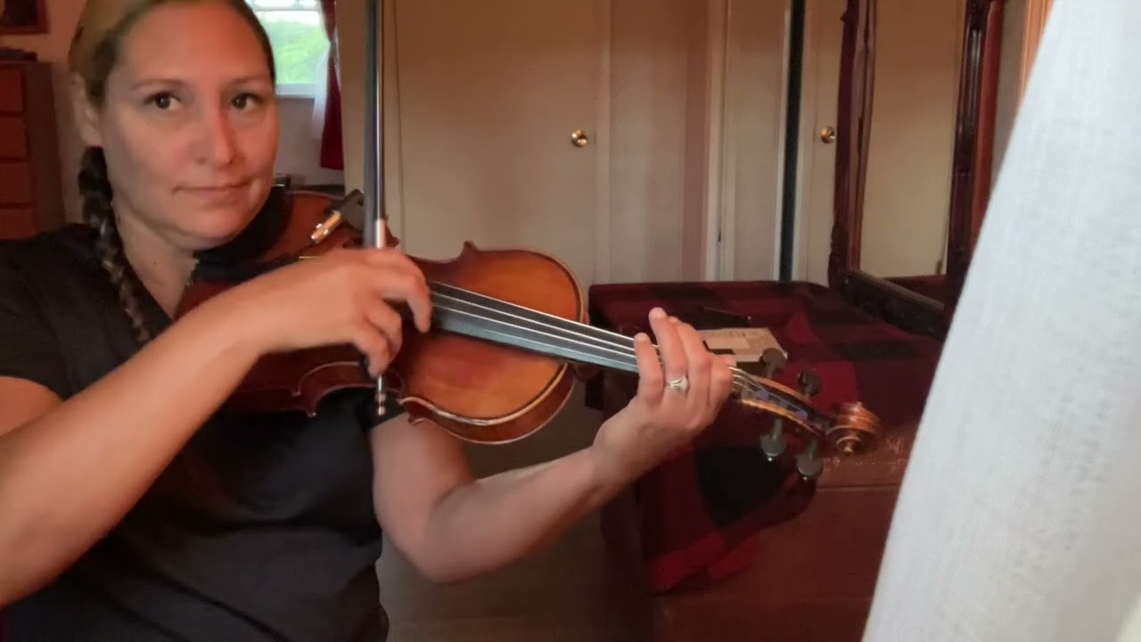 Concerning Hobbits solo violin