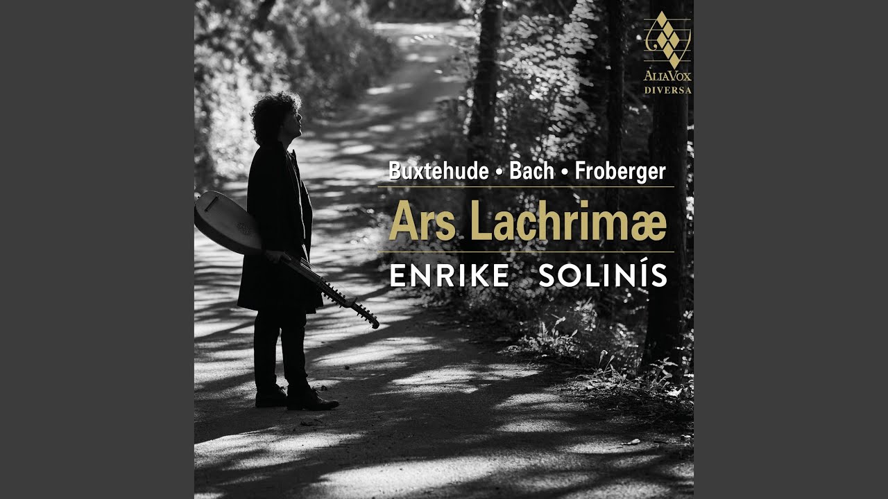 Suite in D Minor, BuxWV 236: III. Sarabande