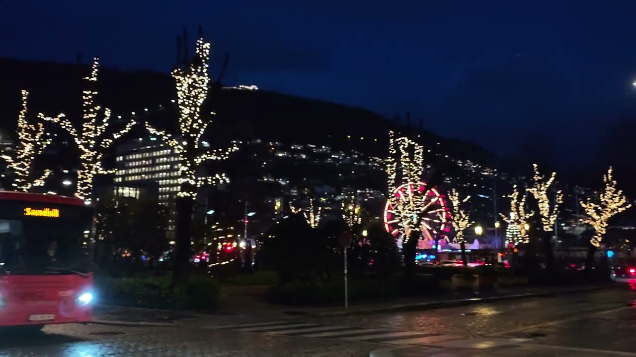 View from Bergen 🎄💚