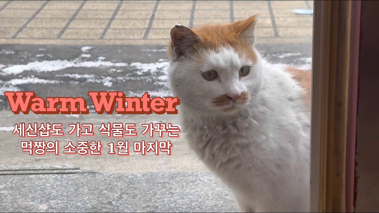 세신샵도 가고 식물도 가꾸는 1월의 마지막 기록 