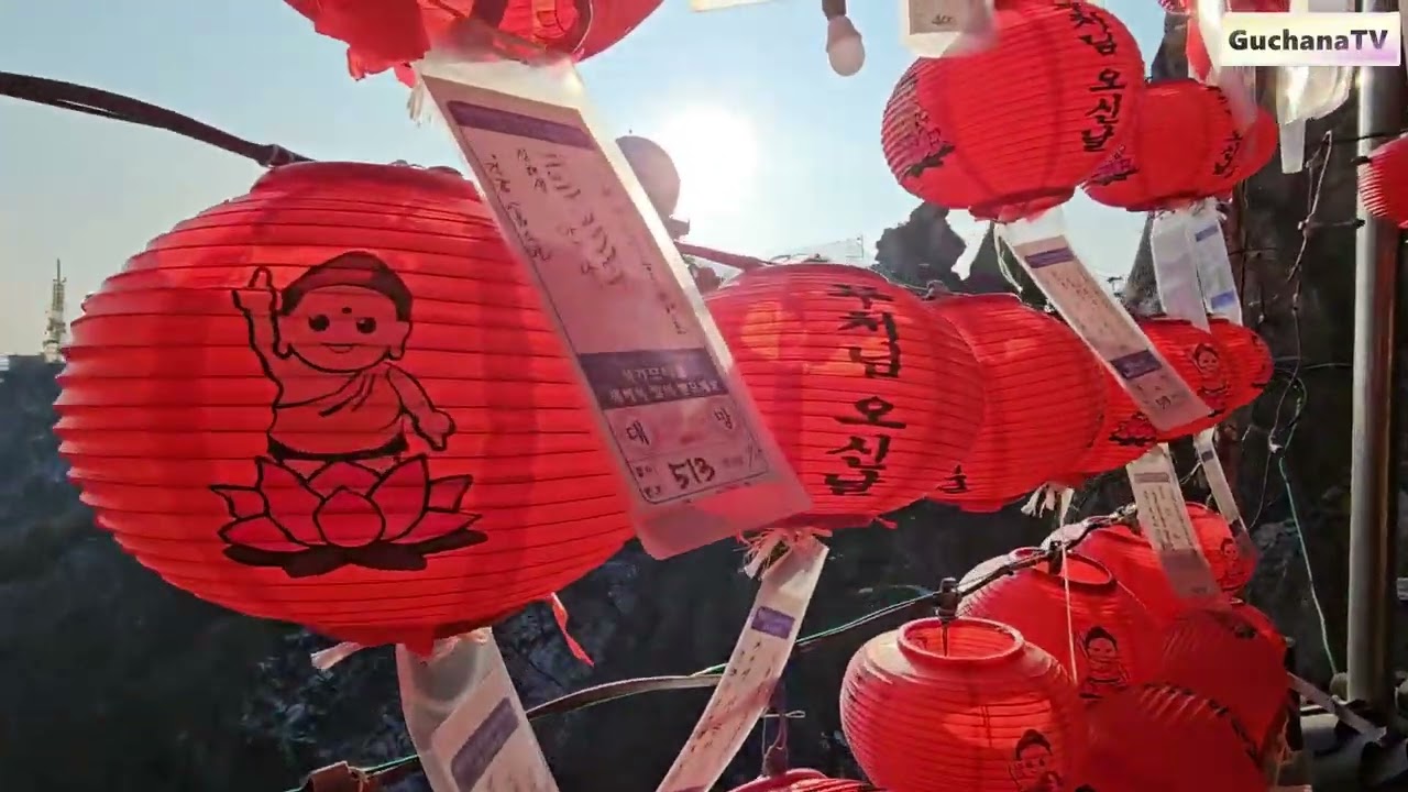 관악산 산행 :  수영장능선~연주대~주능선~수목원능선 (2026.01.23)