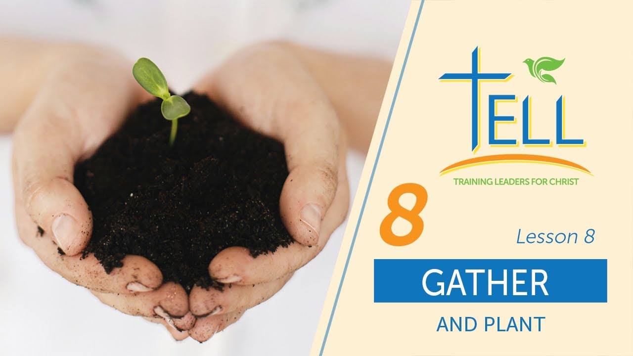 Gather and Plant Lesson 8
