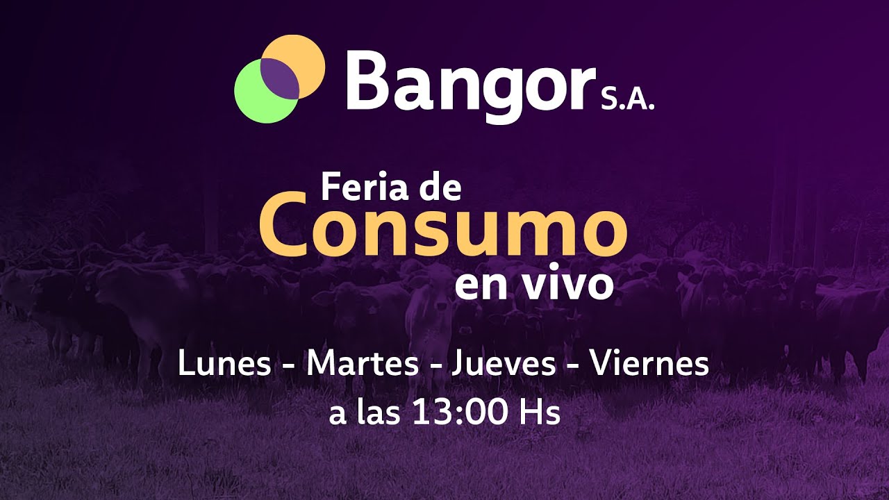 EN VIVO | Bangor // Feria de Consumo & Invernada en vivo