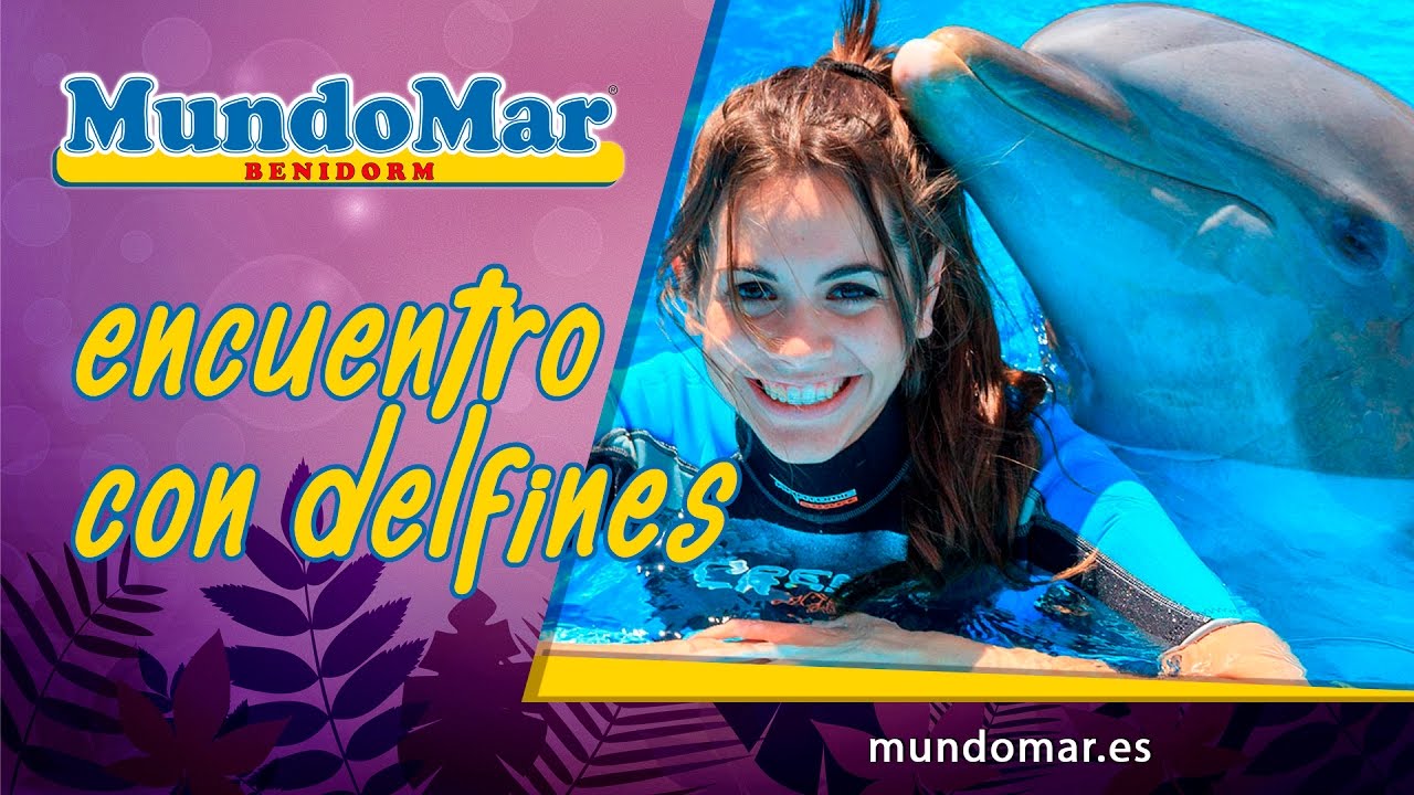 Encuentro con Delfines - Mundomar Benidorm