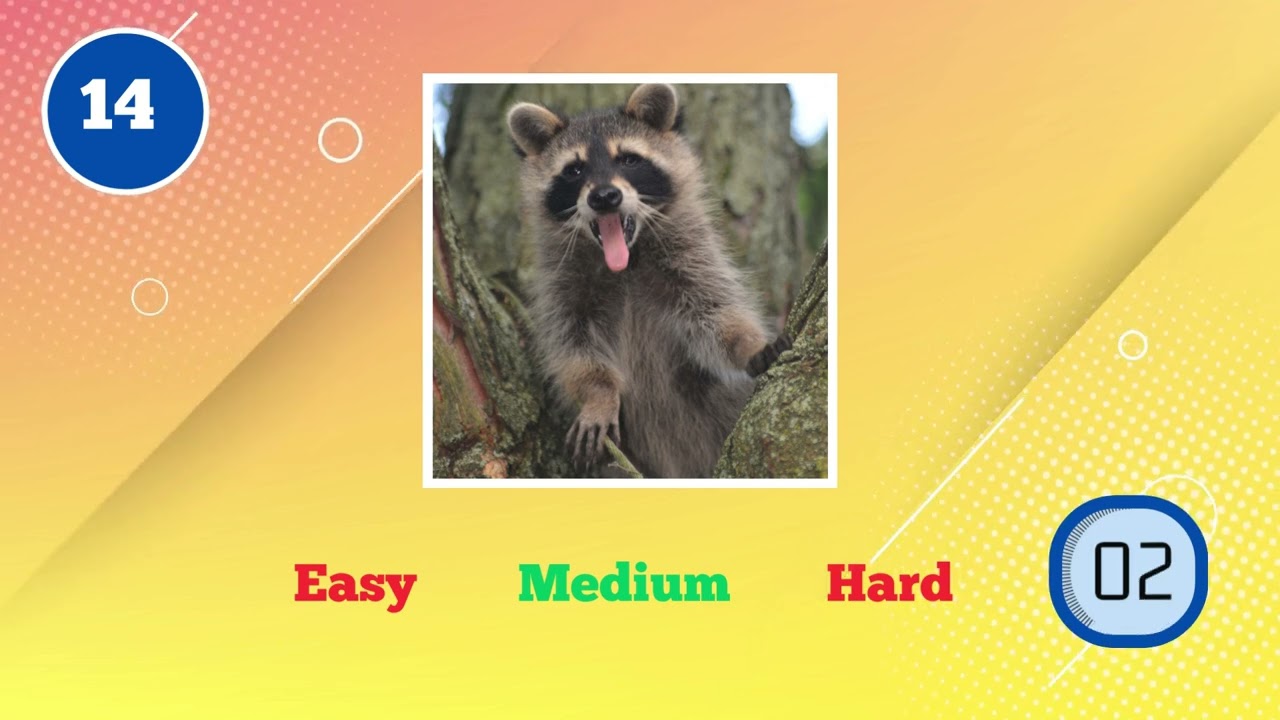 Animal Quiz-Quickly Guess the Animals (Easy to Hard)