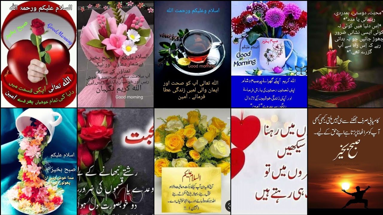 Good morning WhatsApp status 😇 Niak duaaen Urdu Qoutse &hearts;️ subbha bakhair zindagi💥#roshnology