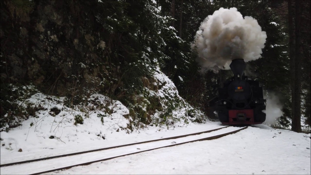 Take a ride with Mocanita Steam Train in Maramures !