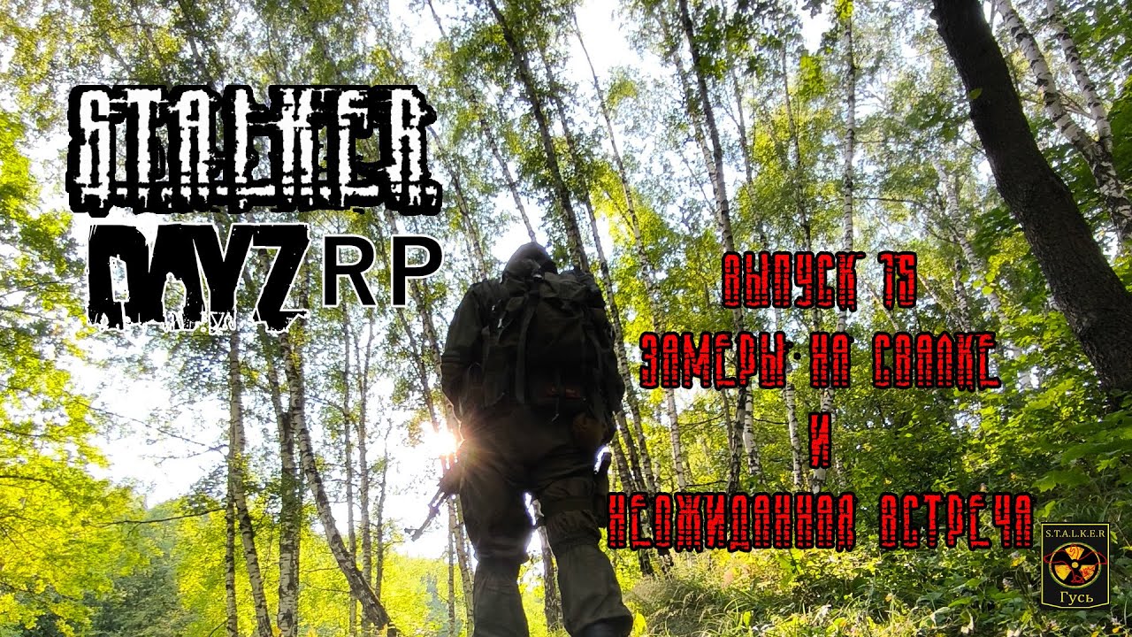 S.T.A.L.K.E.R. DayZ RP. (Выпуск 15 Замеры на свалке и неожиданная встреча.)