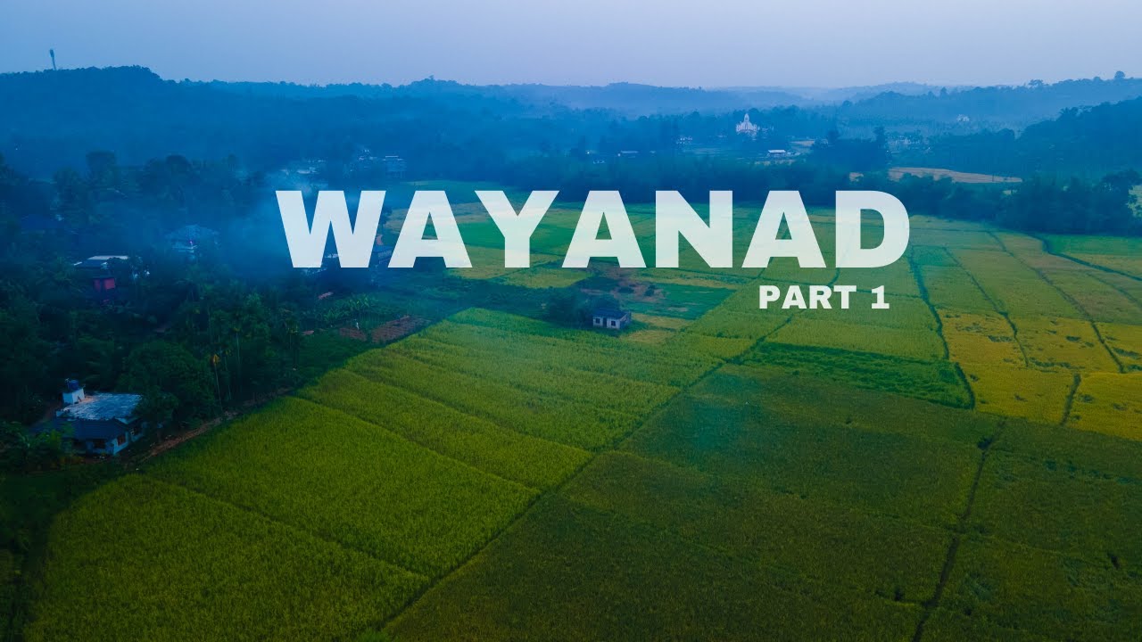 Top Places to Visit in Wayanad | Wayanad Travel Guide | Cinematic Video | Part 1