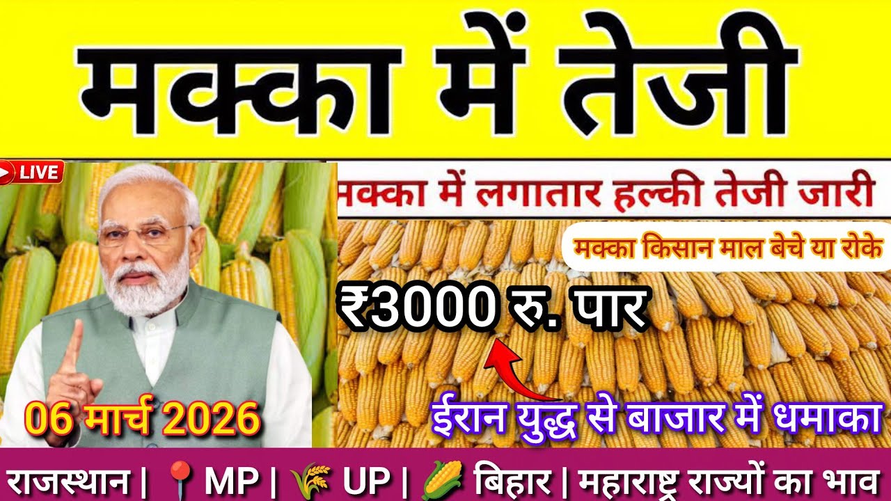 मक्का में अचानक तेजी | ₹3000 पार मक्का भाव | आज का मक्का मंडी भाव 06 मार्च 2026