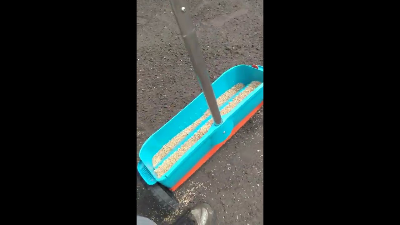 Siew trawy siewnikiem ręcznym