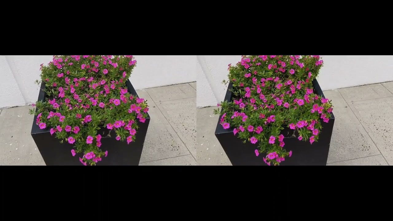 Xreal Beam Pro 3D camera footage