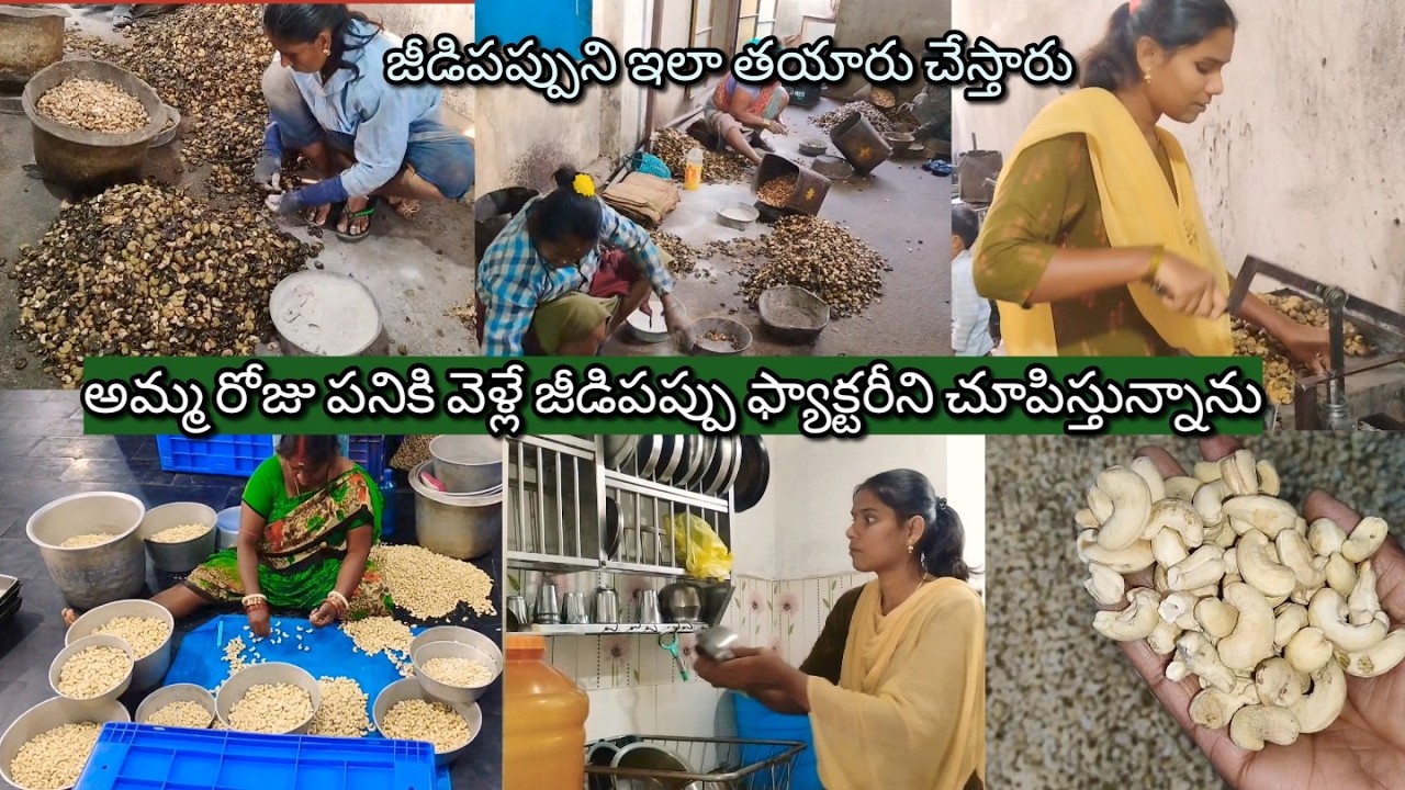 జీడిపప్పుని ఇలా తయారు చేస్తారు అమ్మ రోజు వెళ్లే జీడిపప్పు ఫ్యాక్టరీని చూపిస్తున్నాను #trendingvlog