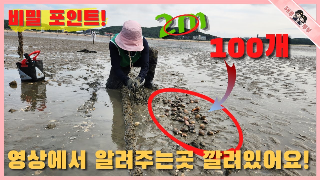 인천권 남들이 알려주지 않는 비밀 포인트에서 우르르 쏟아지네 ft.마시안체험장 