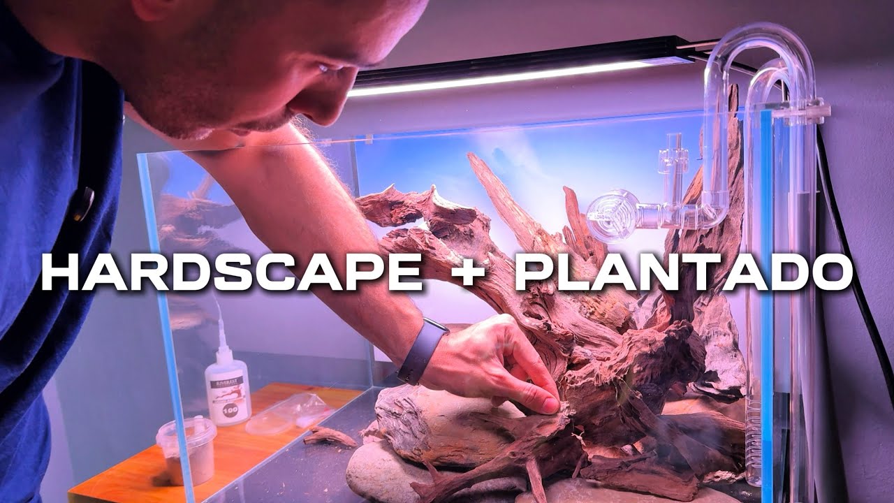 HARDSCAPE & PLANTADO 🔥 Así nace el dragón | EL FACTOR INVISIBLE #2