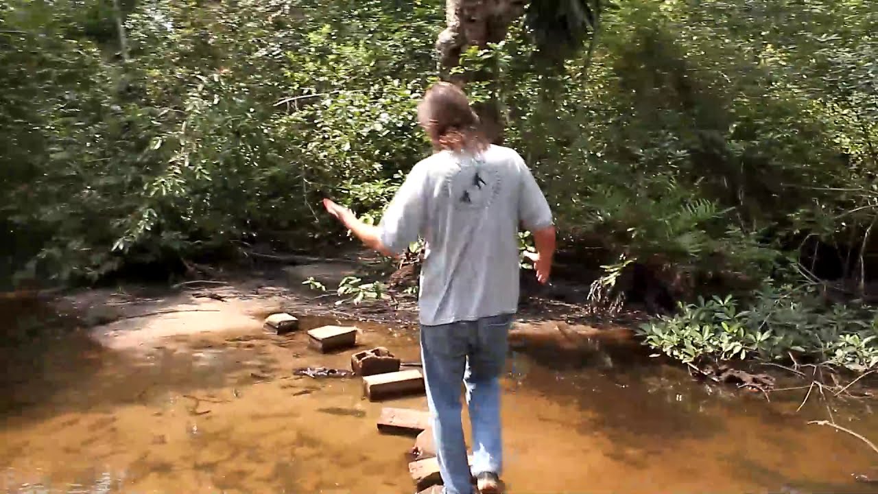Liberia Chimpanzee Rescue & Protection
