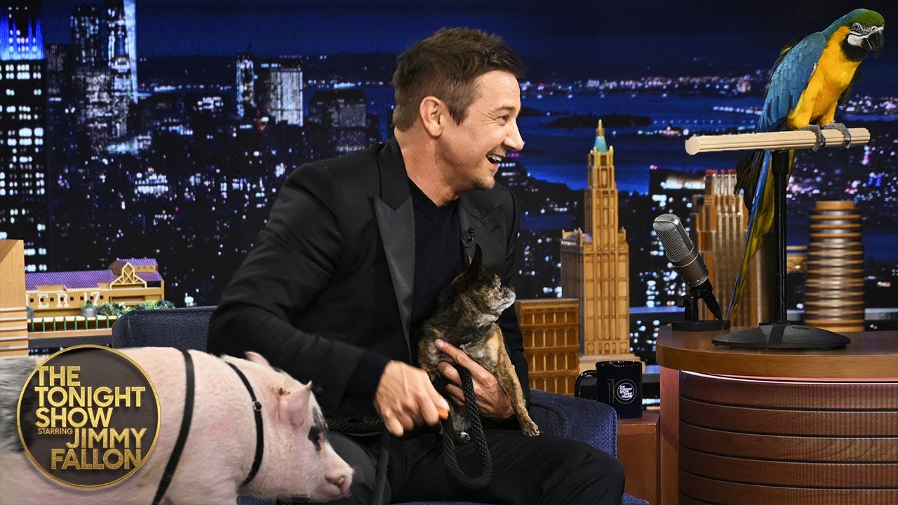 Jeremy Renner Introduces Jimmy to His Emotional Support Animal | The Tonight Show