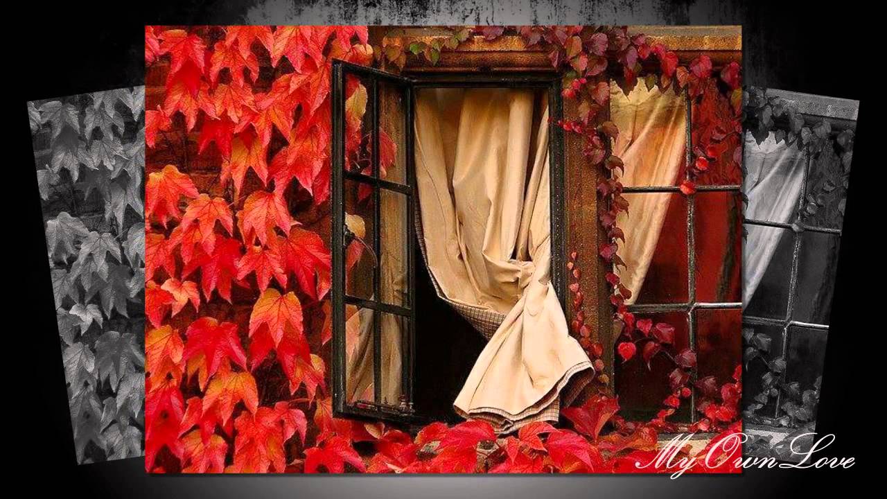 Detroit Blues Band - Tears From My Eyes.