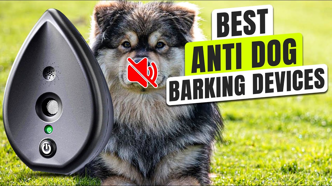 Top 3 BEST Anti Dog Barking Devices