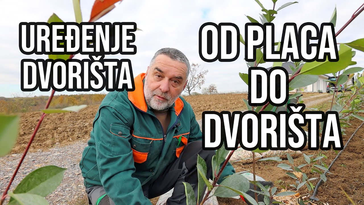 Uređenje dvorišta - Od placa na vetrometini do ušuškanog dvorišta