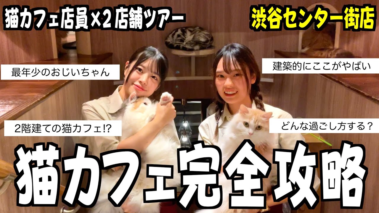 【下見用】猫カフェ店員が猫カフェの楽しみ方教えます！渋谷センター街店編