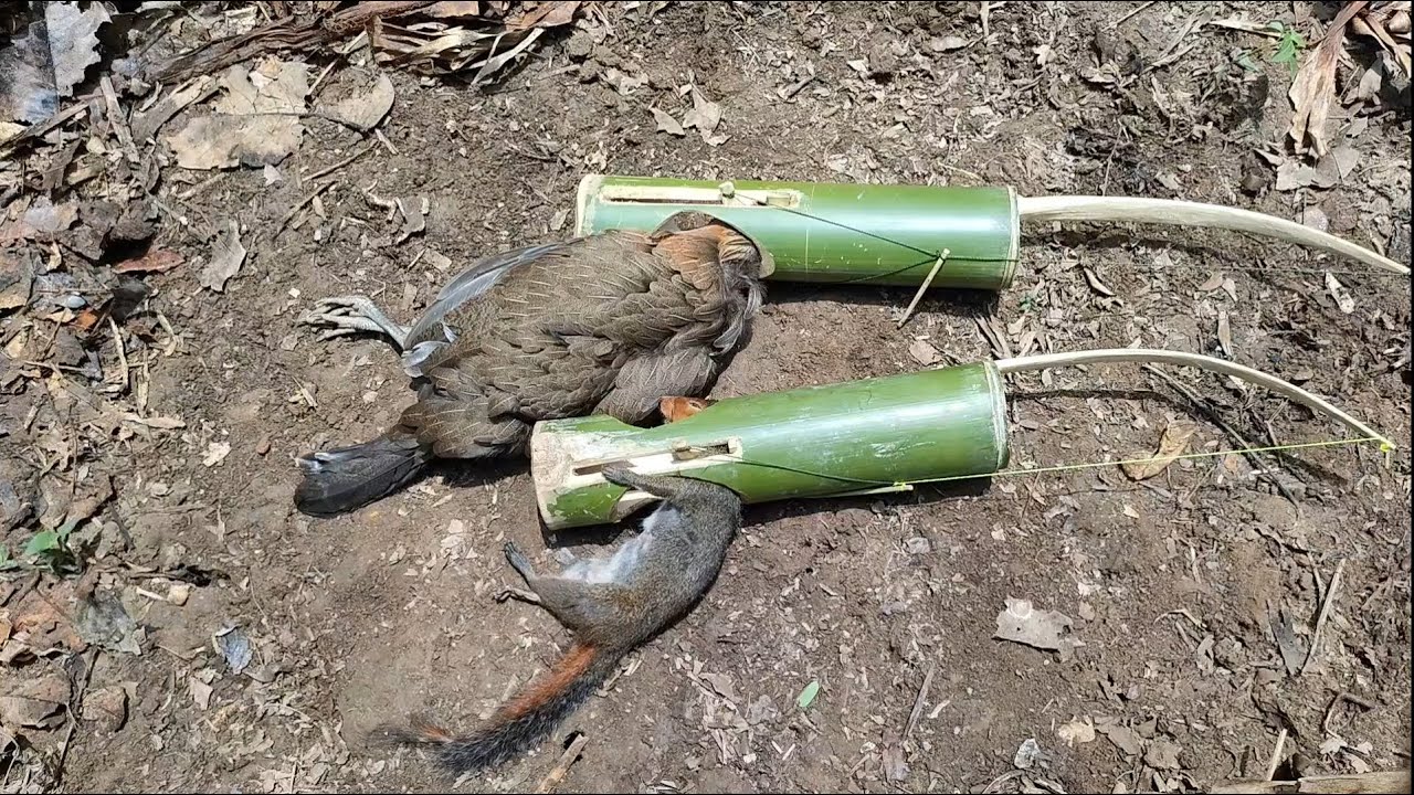 Wild Trap: Create an awesome traps to catch squirrel and red junglefowl in the Jungle.