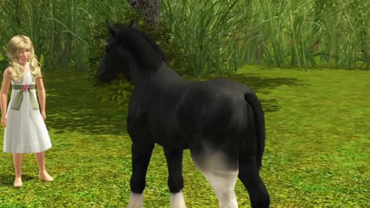 ►Sims3: The Black Horse