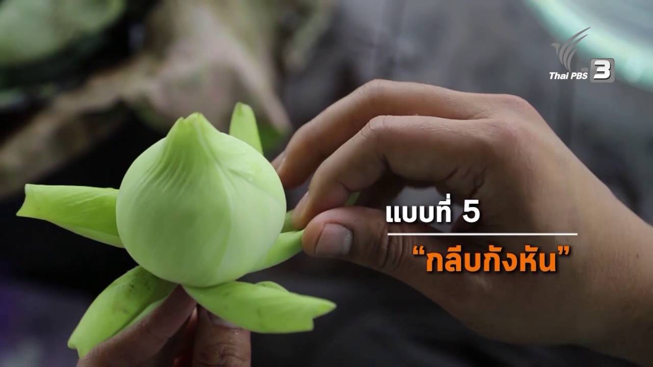 ช่วงห้องเรียนสว. : สอนพับดอกบัว (22 ต.ค. 59)