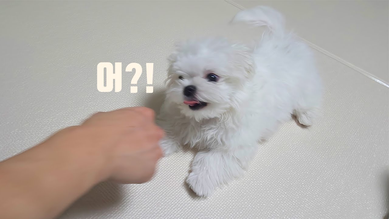 손 내밀었더니 이런 반응이...?