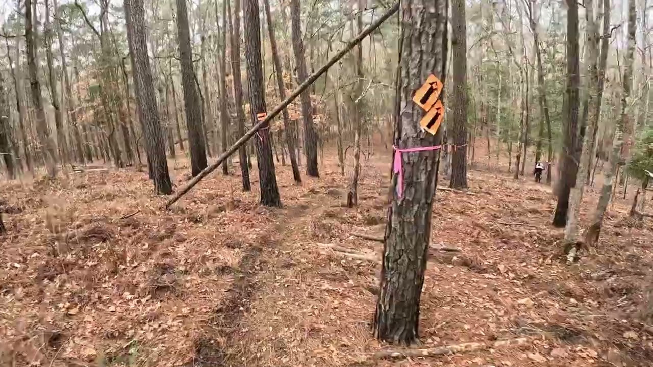 The TE 150 is a woods weapon!