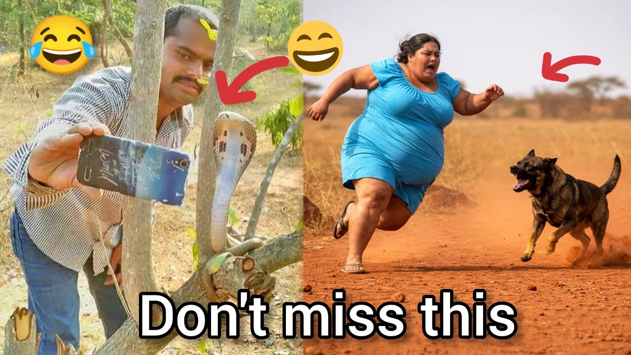 100% Try Not To Laugh 😂 – The Funniest Videos on the Internet Right Now! (Part 2) #funnyvideo 