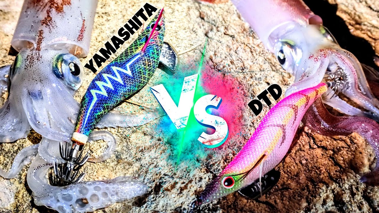 *YAMASHITA VS DTD* ¿QUIÉN GANARÁ? ⚔️🦑 Una jornada con MUCHOS CALAMARES a eging desde costa!