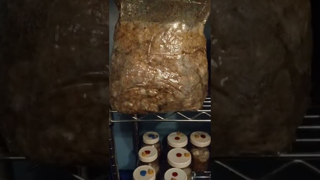 Post stove method