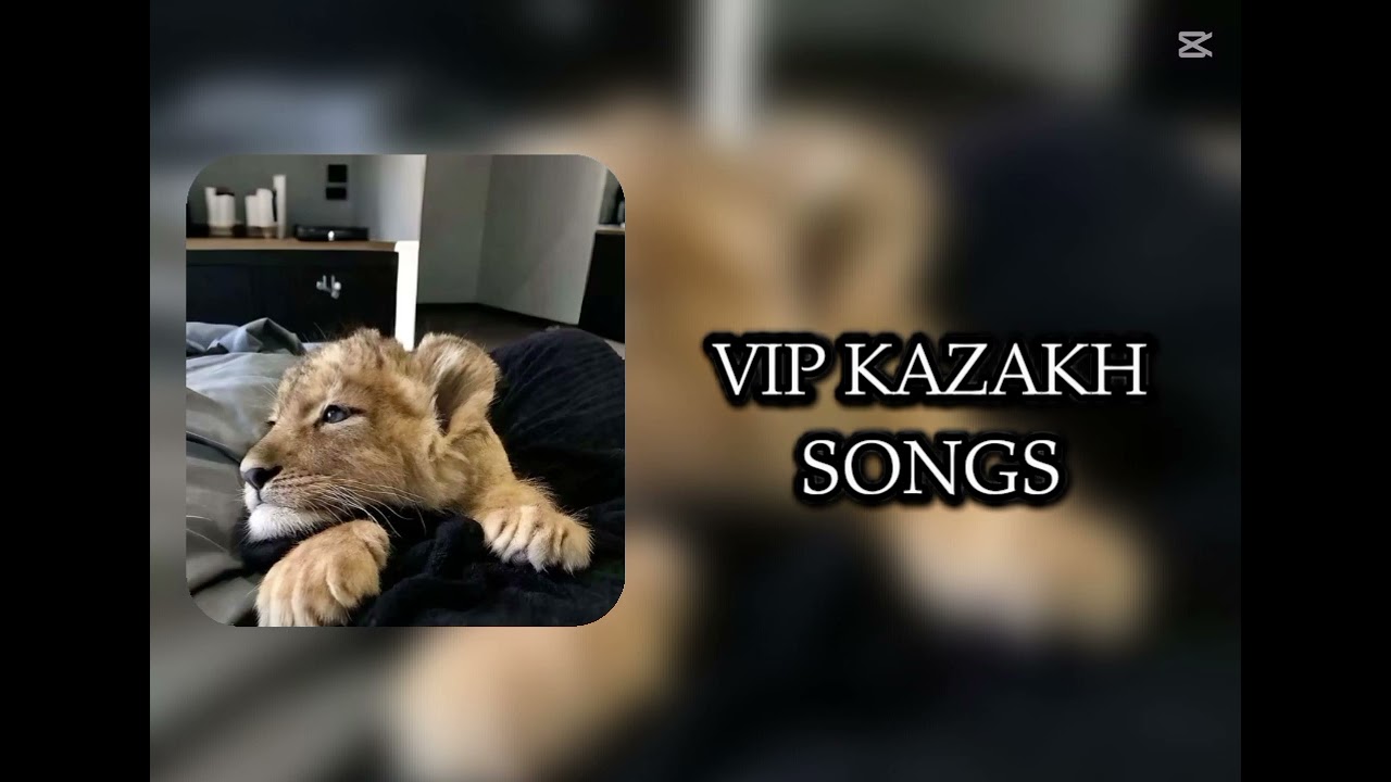 Vip kazakh songs|вип казак музыка