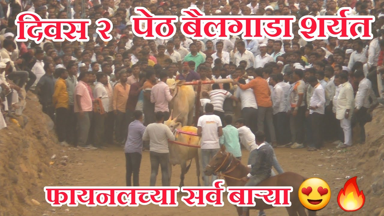 पेठ बैलगाडा शर्यत|दिवस २ च्या सर्व फायनलच्या बाऱ्या थरार 🔥😀😍✌️| peth bailgada sharyt live #bailgada