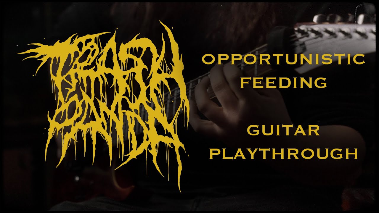 Trash Panda - Opportunistic Feeding (Official Guitar Playthrough)