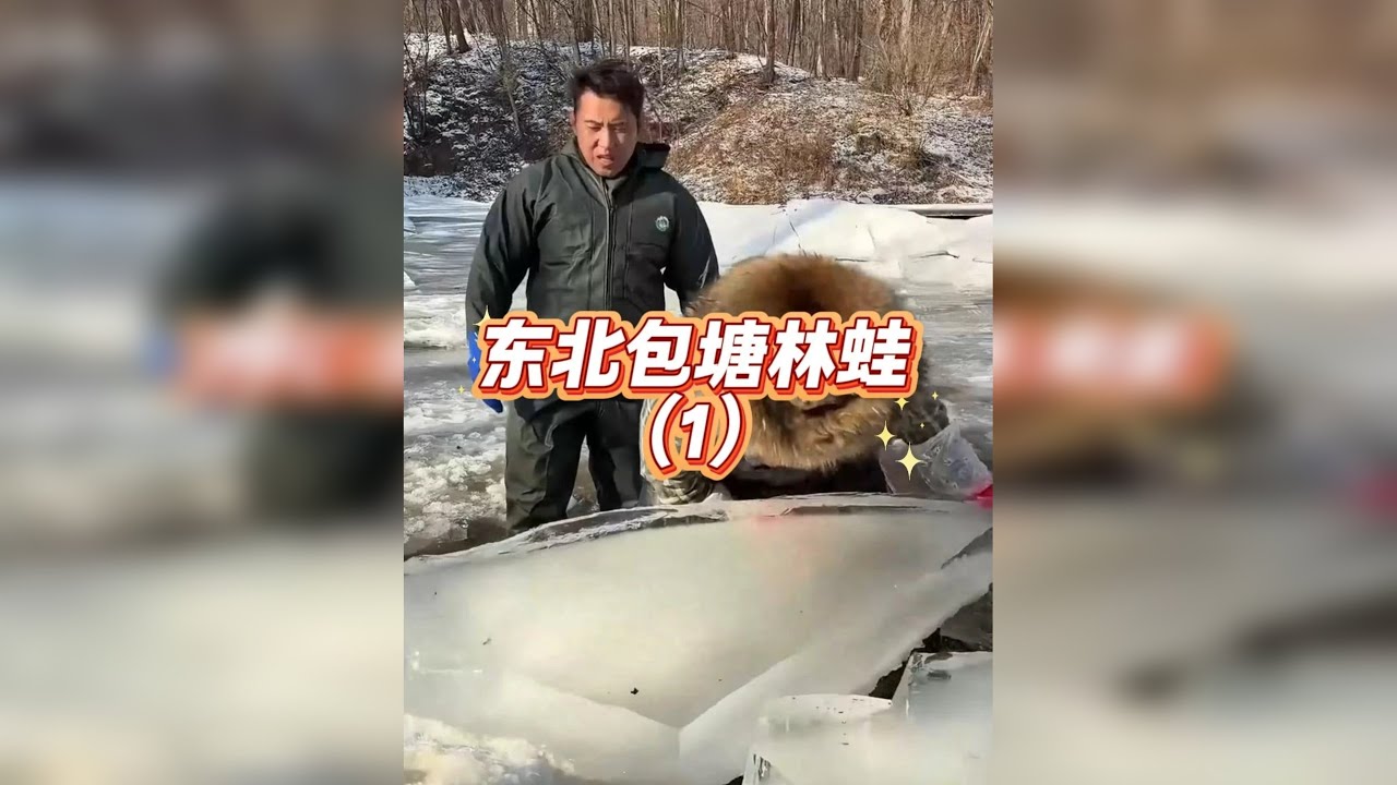 在东北零下三十度包塘抓雪蛤，兄弟们觉得这次能不能赚？
