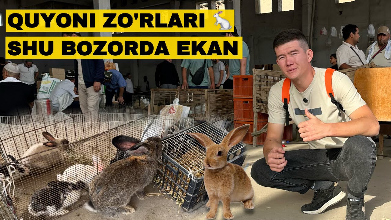 ВОДИЙДАГИ ЭНГ КАТТА КУЁН БОЗОРИ! 🐇НАРХЛАР КАНДАЙ БУЛДИ БУ БОЗОРДА?