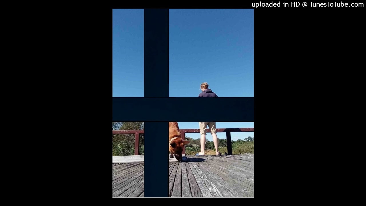 malinois