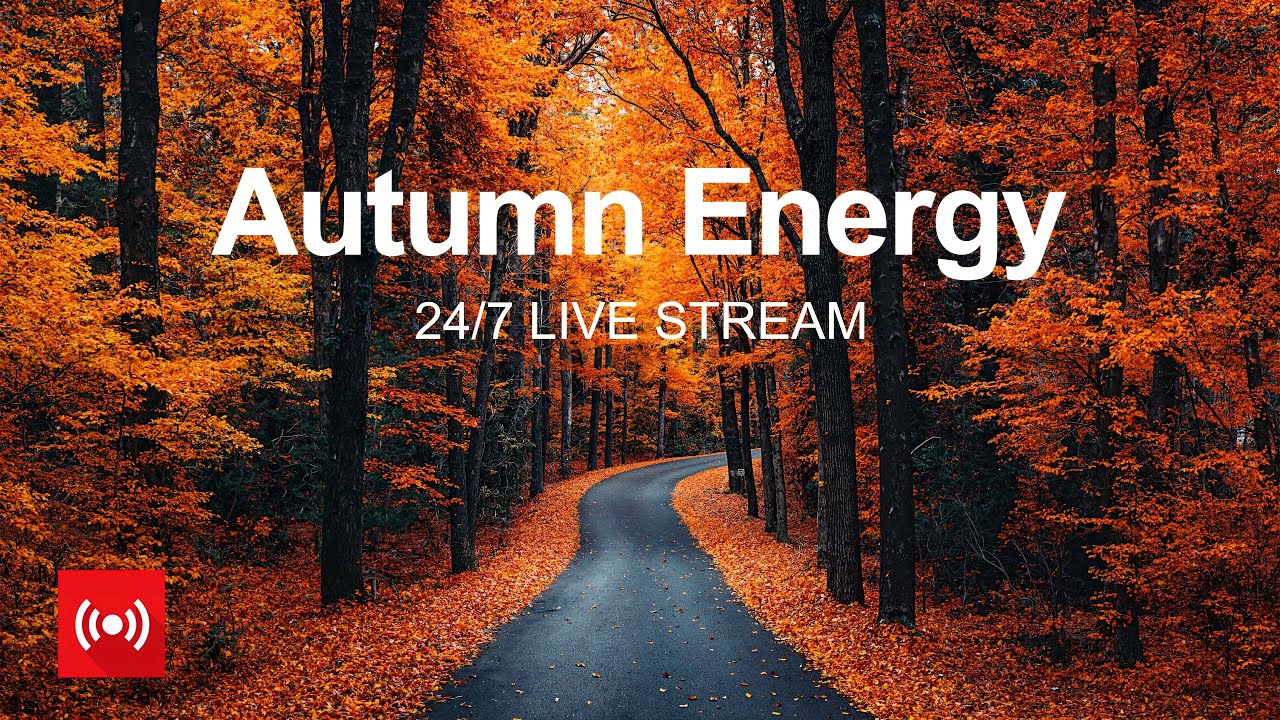 Autumn Energy 2025 🍁 24/7 Live Stream 🌅☕ Happy Music to Start Your Day - Relaxing Chillout House