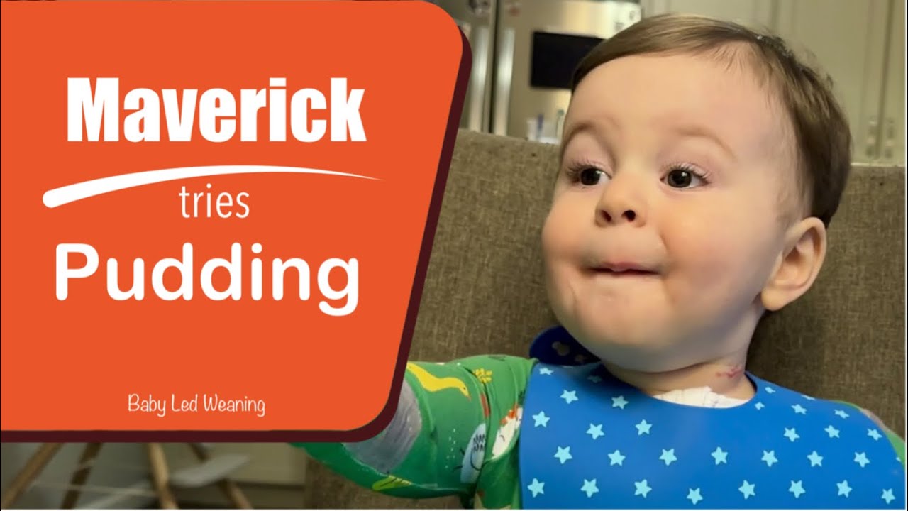 Maverick tries Pudding - 20 Months