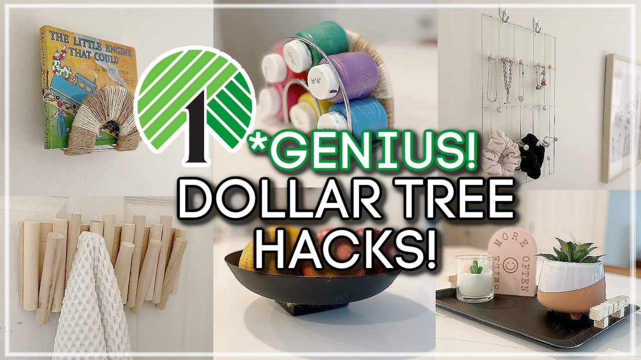 *GENUIS* DOLLAR TREE Hacks and Organization Ideas 2023 / Must Try!