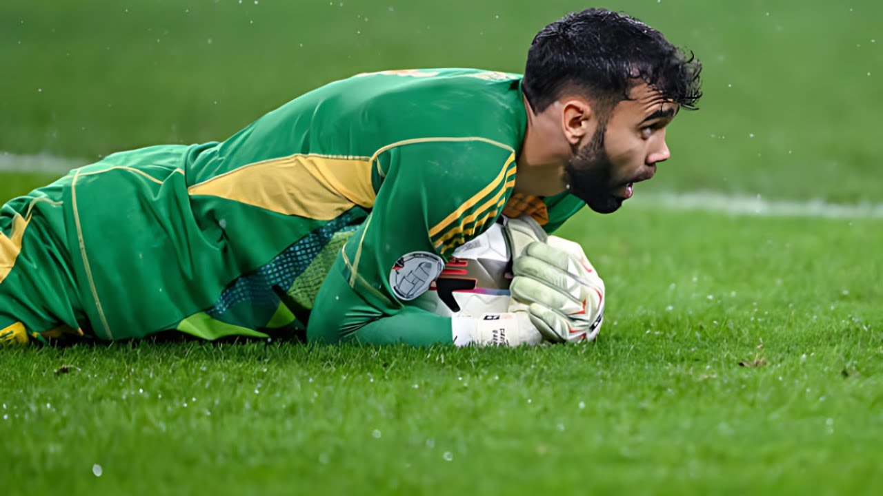 DAVID RAYA INCREDIBLE SAVES 🤯 | Best saves 2024 FHD