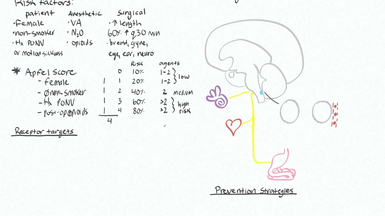 Postoperative Nausea and Vomiting 1 - Risk, Receptors and Pathways