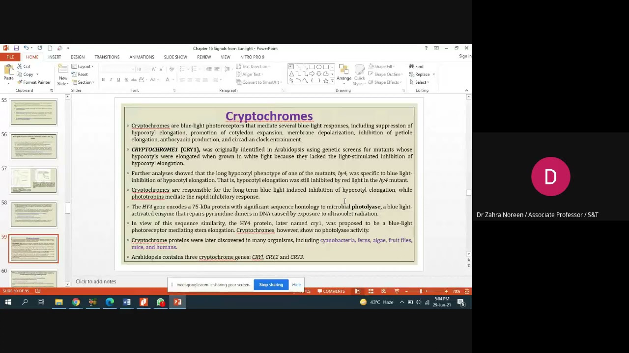 Cryptochrome and Phototropins 2021 06 29 at 04 52 GMT 7