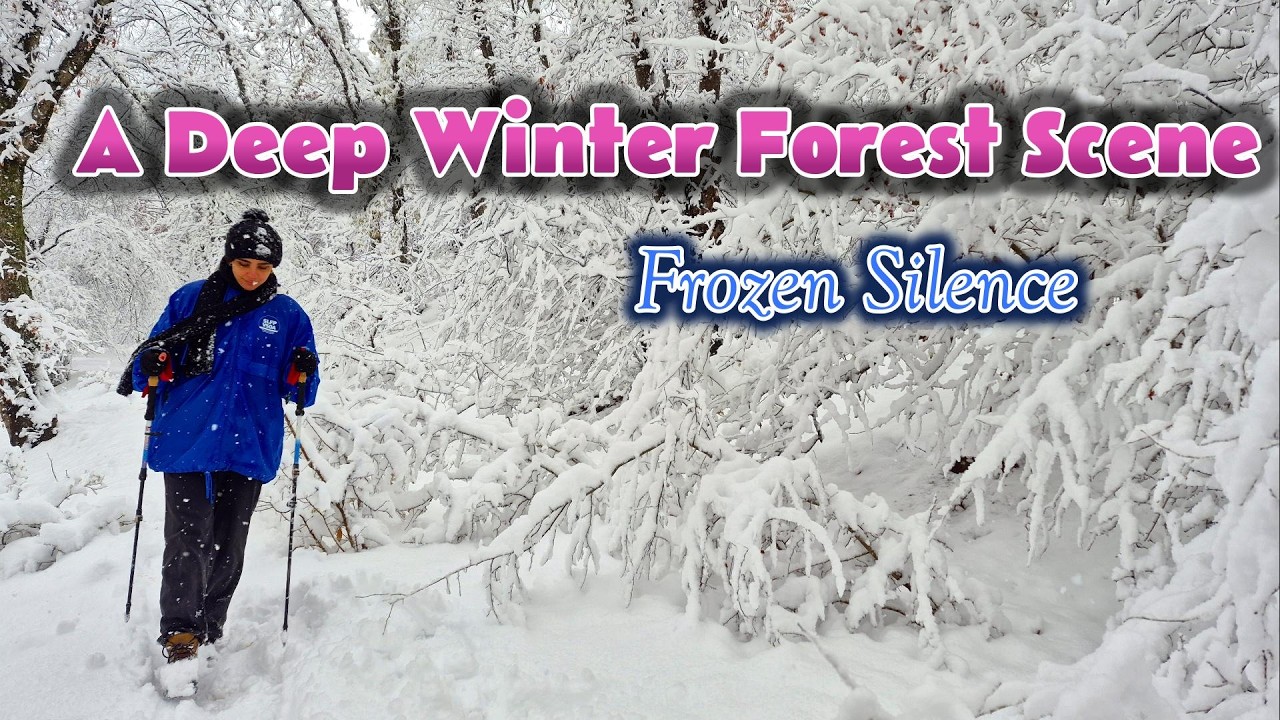 When Snow Keeps Falling ❄️ A Deep Winter Forest Scene
