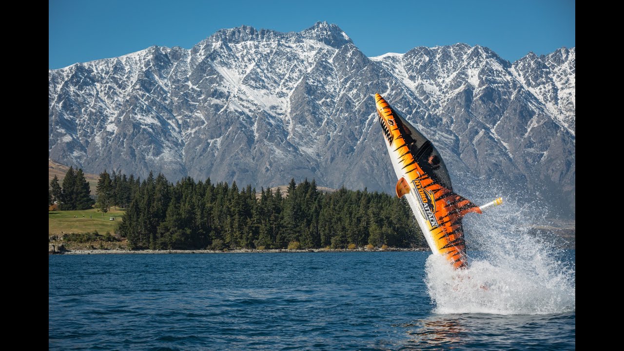 Shark Ride in Queenstown